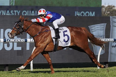 Ming Dynasty Quality Handicap Winners, Past Results & Latest .